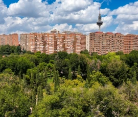 Parque Roma - Torre España - panorama